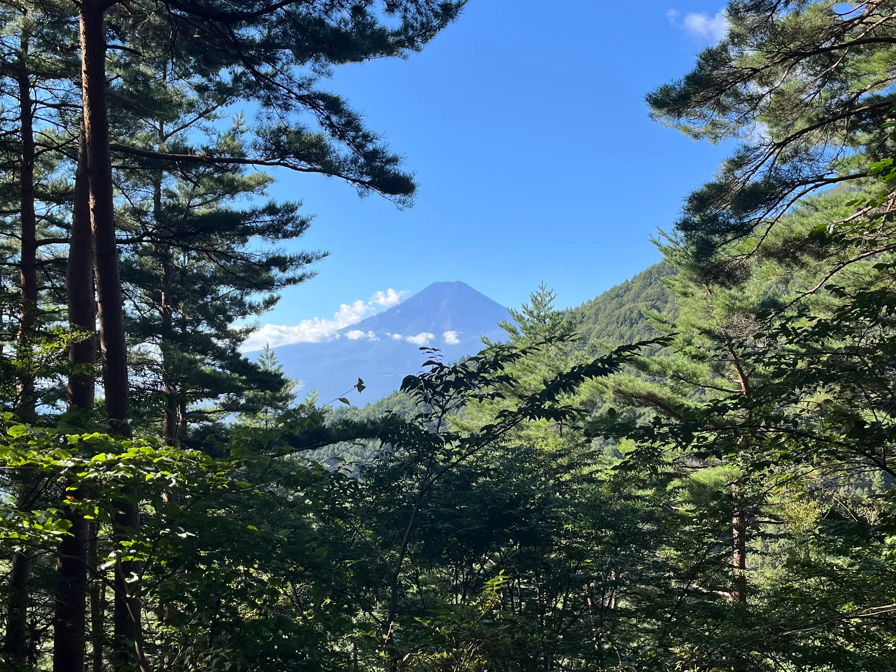 三つ峠山の写真 19