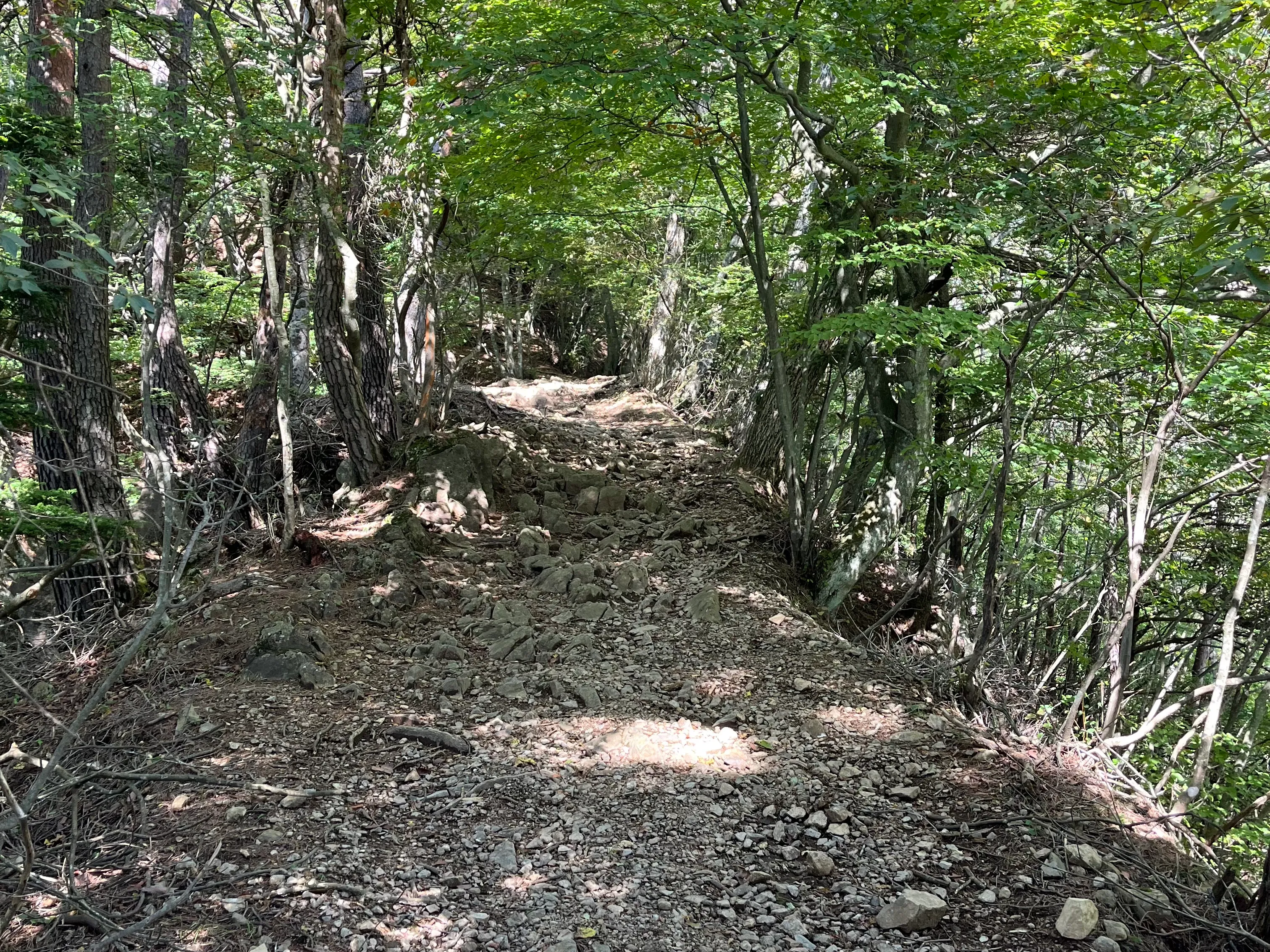 三つ峠山の写真 16