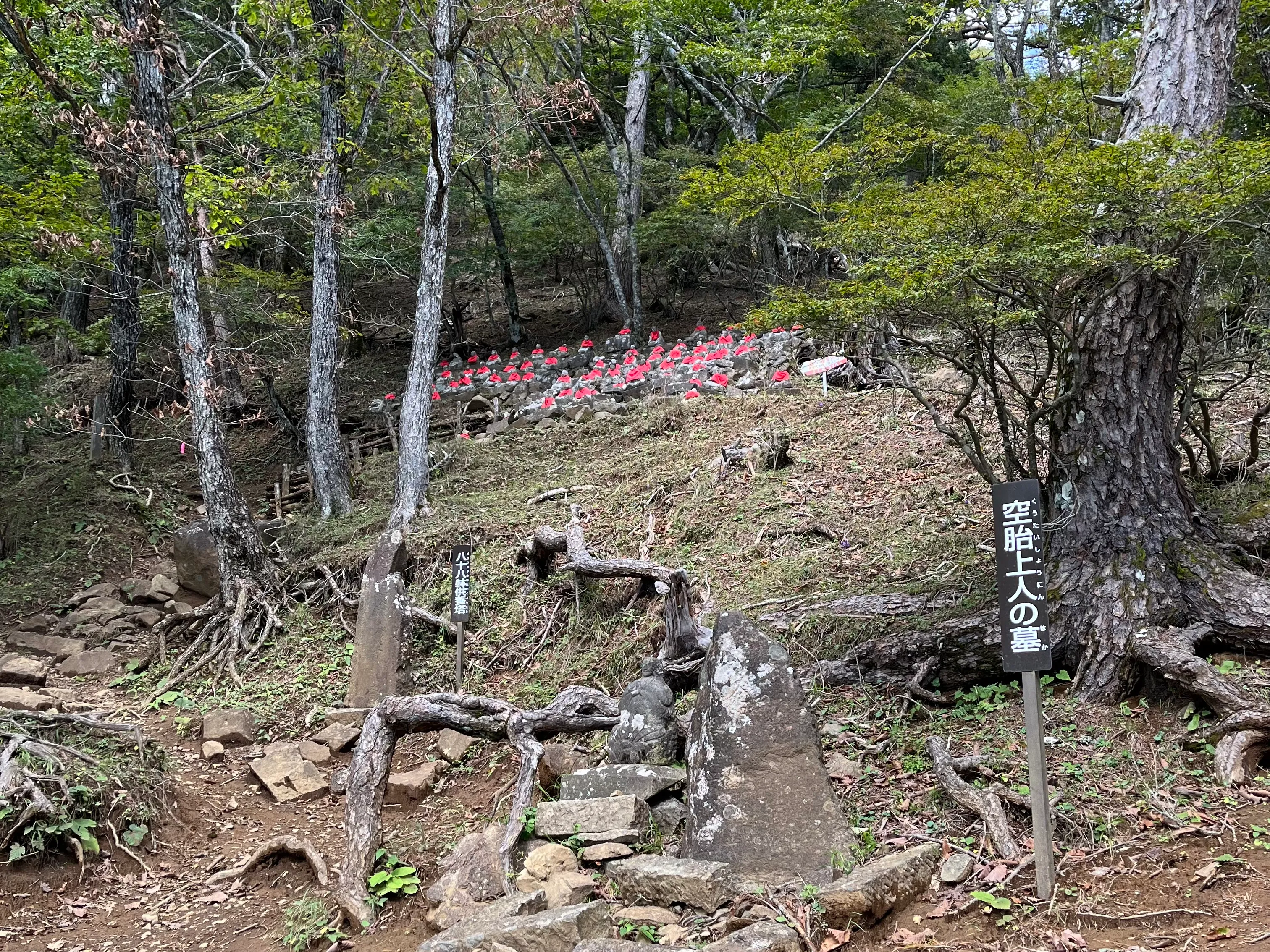 三つ峠山の写真 15