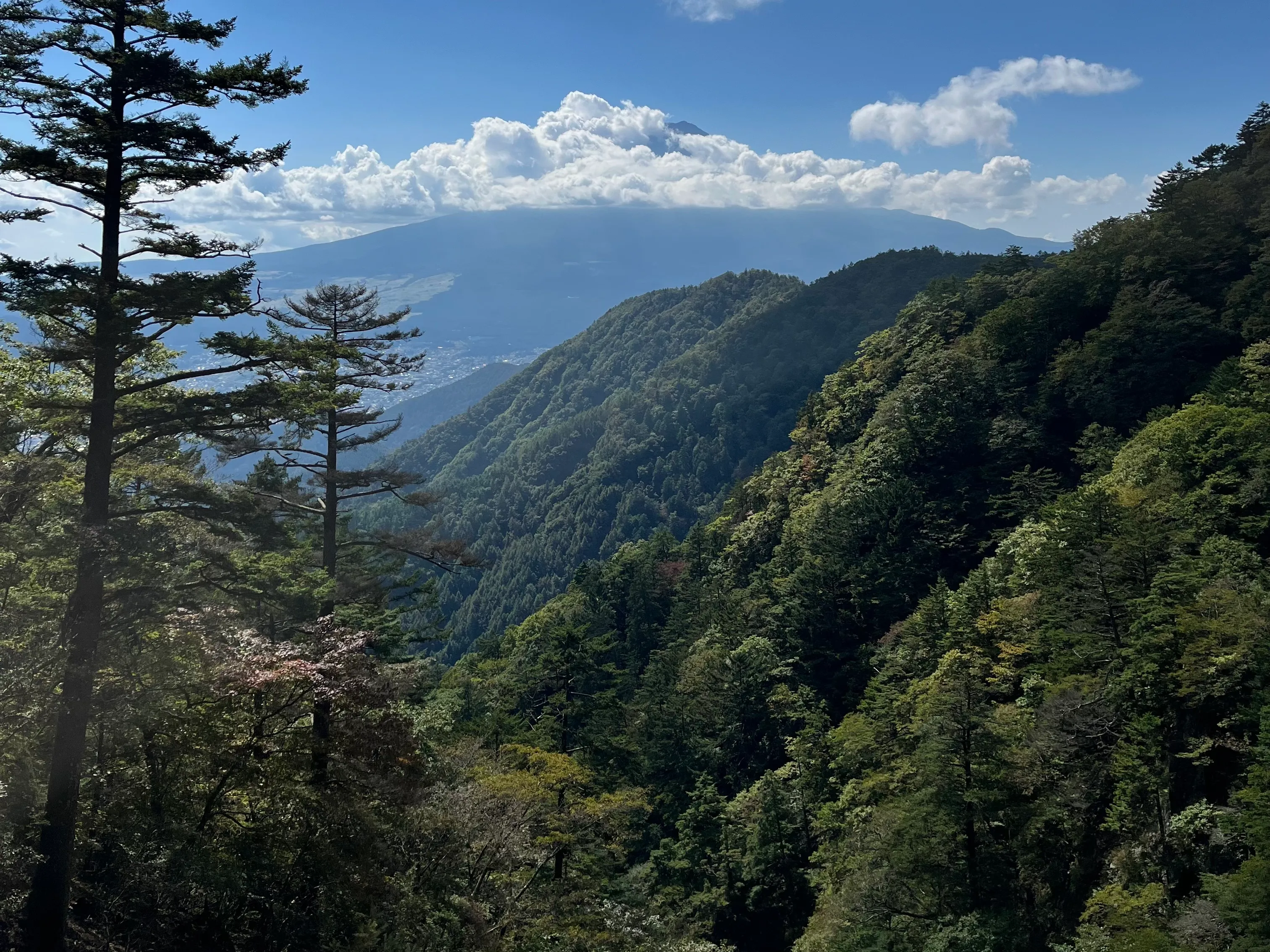 三つ峠山の写真 14