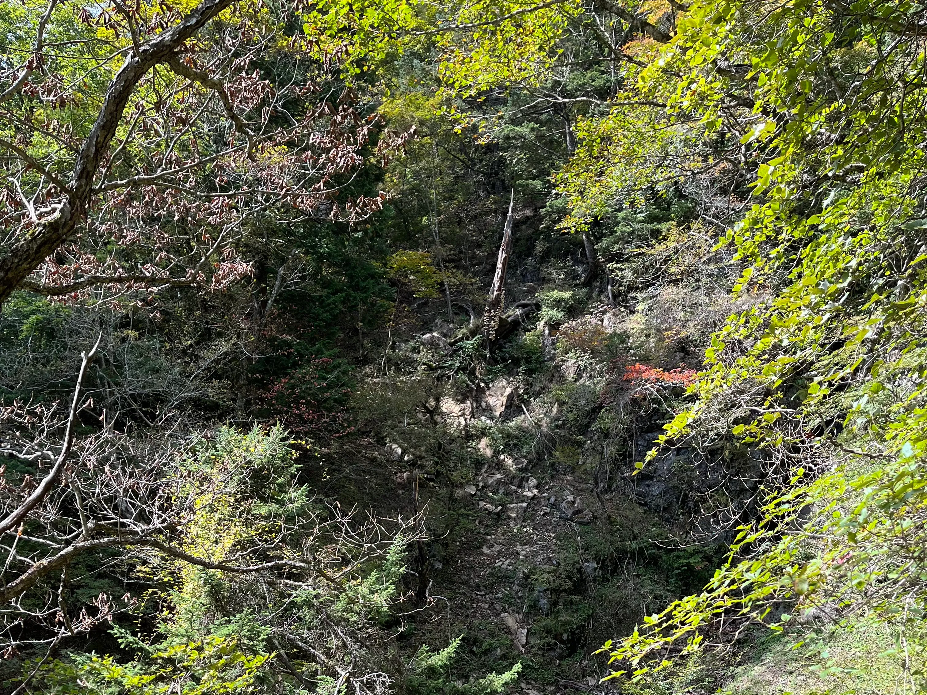 三つ峠山の写真 13