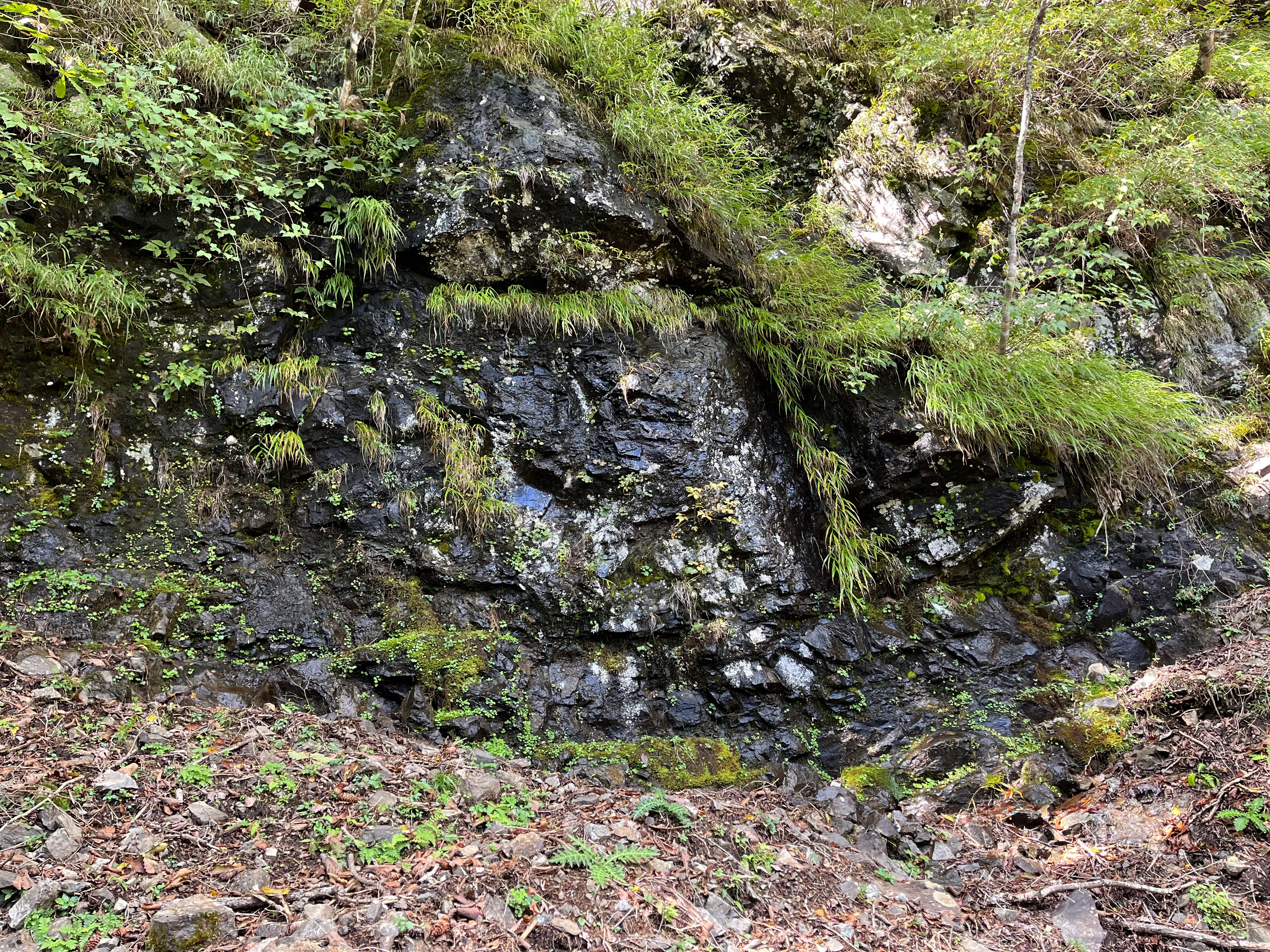 三つ峠山の写真 12