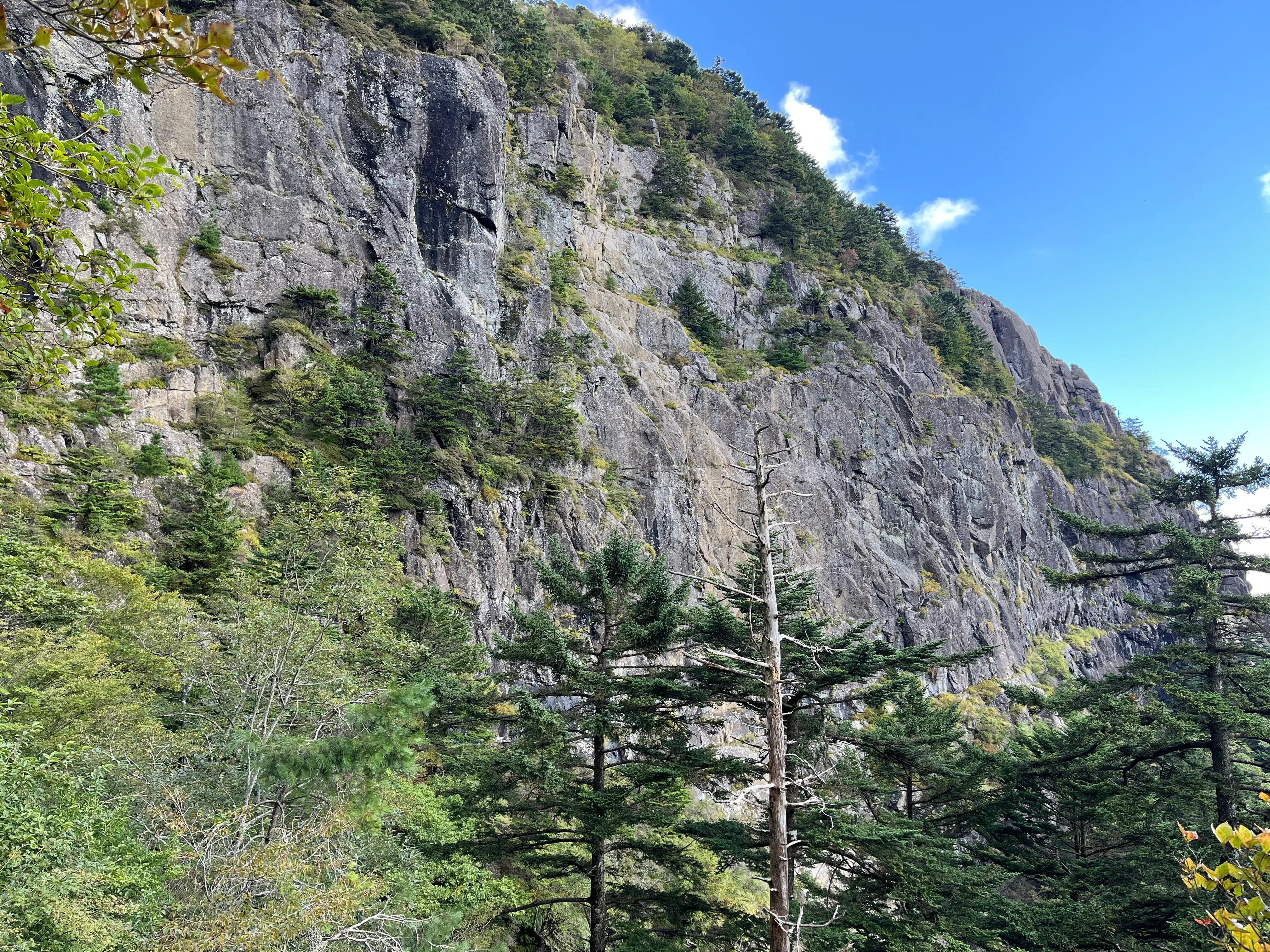 三つ峠山の写真 10